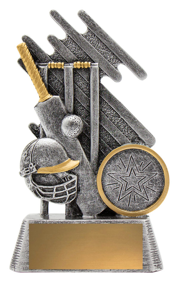 Zoom Cricket Theme 110mm