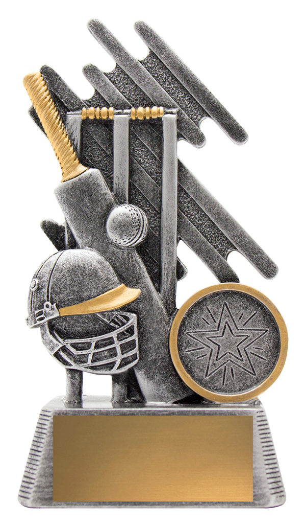 Zoom Cricket Theme 130mm