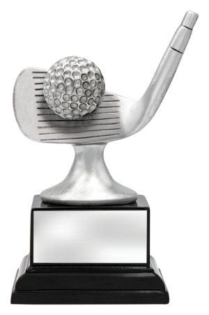 Golf Silver Iron