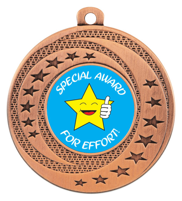 Wayfare Medal Special Award Bronze