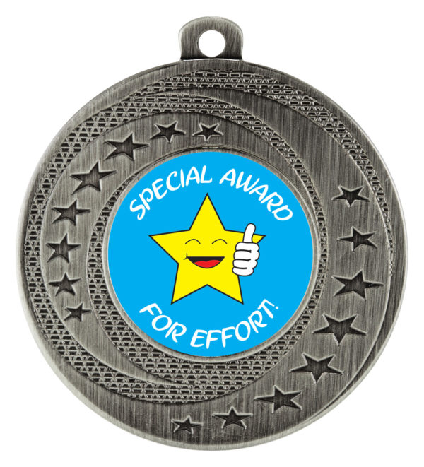 Wayfare Medal Special Award Silver