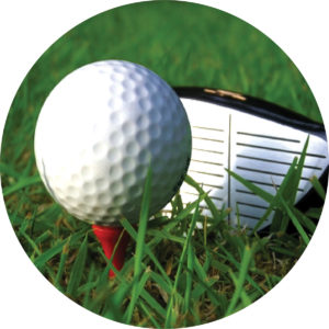 Golf Insert 25mm