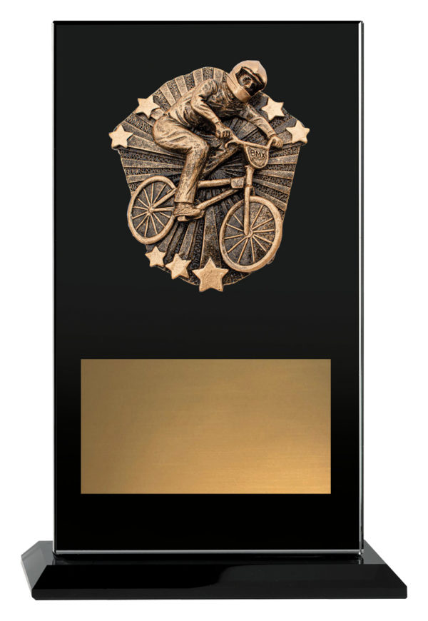Cosmos Glass BMX 245mm
