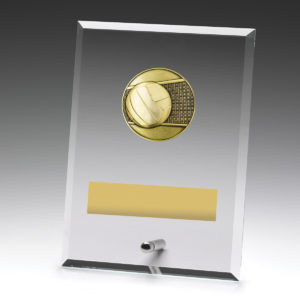 Glass Plaque Volleyball