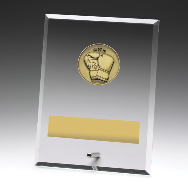 Glass Plaque Boxing 200mm