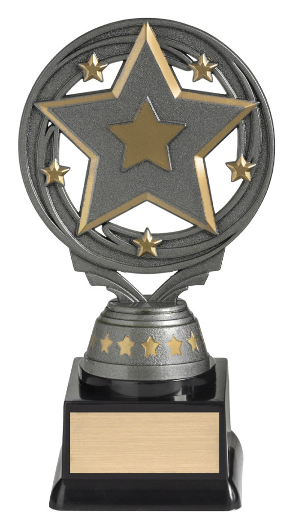 Star Budget Silver 165mm