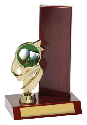 Golf Wing Trophy