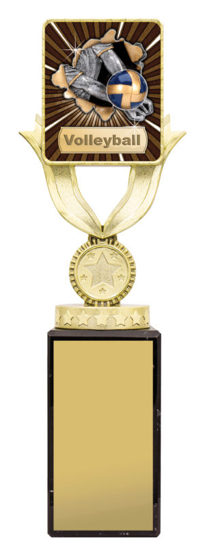 Lynx Sentry 255mm – Volleyball