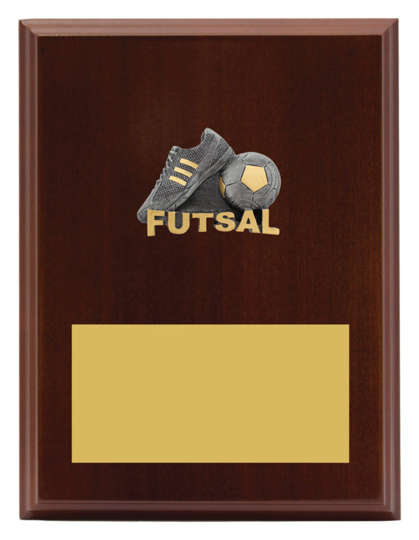 Plaque Peak Futsal 200mm
