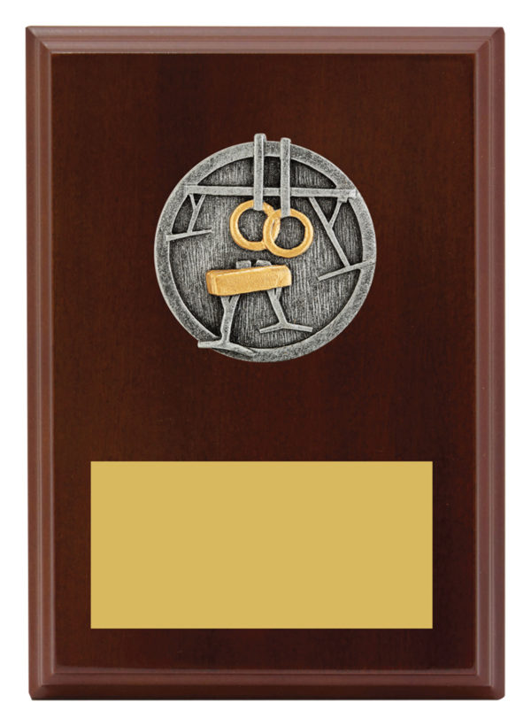 Plaque Peak Gymnastics 175mm