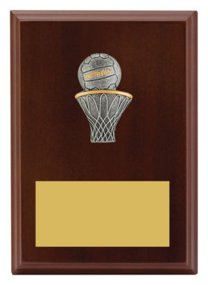 Peak Plaque Netball