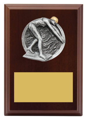 Plaque Peak Female Swim
