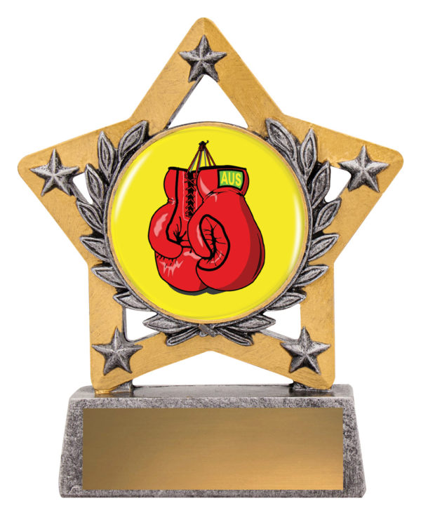 Boxing Mini Star Colour 130mm