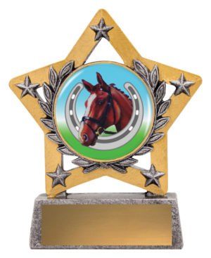 Horse Shoe Mini Star Colour 130mm
