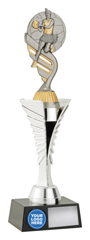 Netball Silver Spear