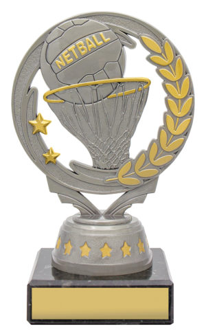 Netball Torch Column Series
