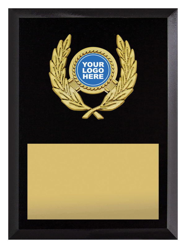 Focus Value Plaque 175mm
