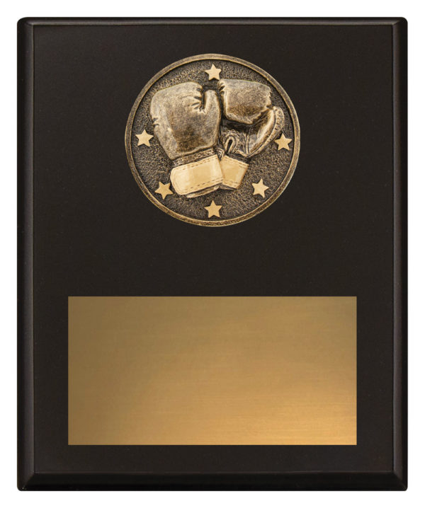 Challenge Plaque Boxing 200mm
