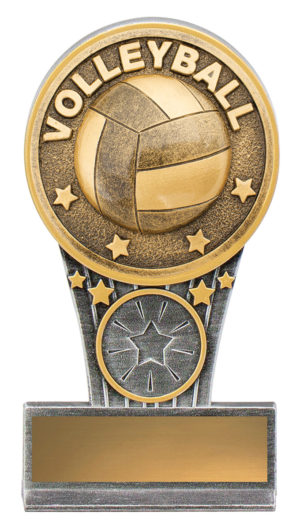 Mini IKON Volleyball 125mm