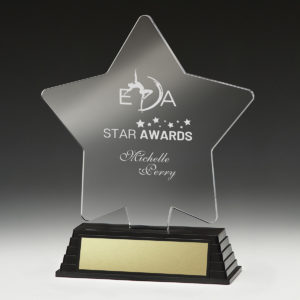 Torchlite Acrylic Star 170mm