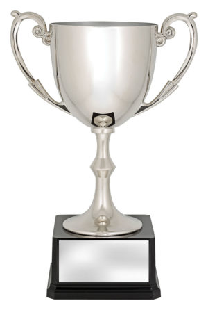 Recognition Cup 210mm