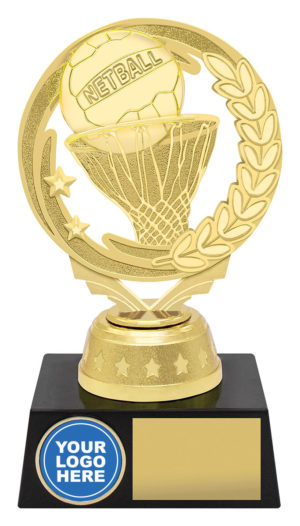 Torch Netball Gold / Silver