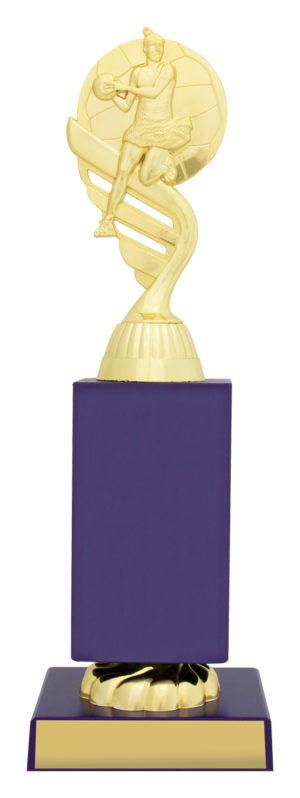 Netball Blue Column 265mm