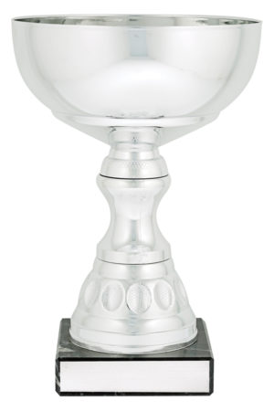 Silver Reverie Cup