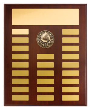 Perpetual Plaque - Water Polo