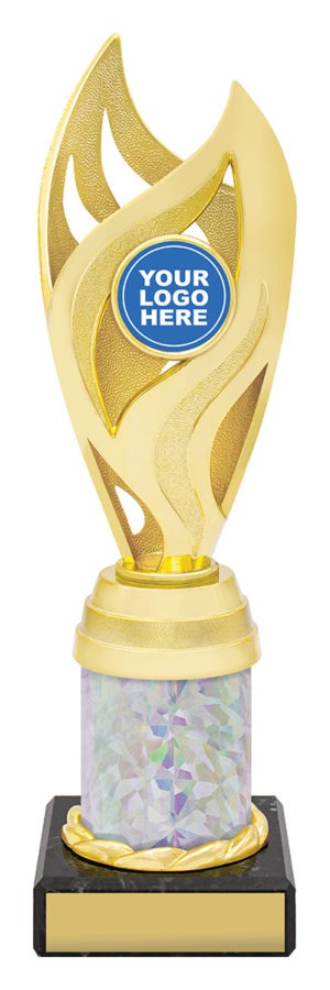 Vision Cup Gold / Silver 225mm