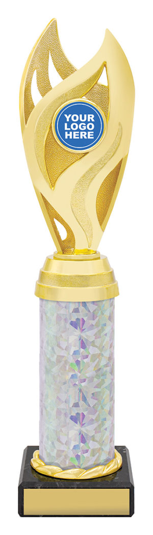 Vision Cup Gold / Silver 275mm