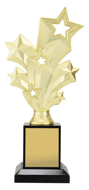 Gold Starburst on Timber 245mm