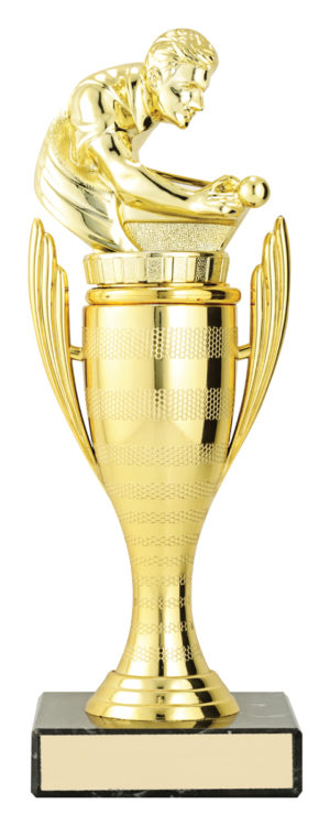 Pool Guardian Cup
