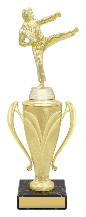 Gold Champion Cup
