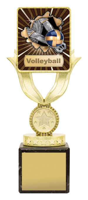 Lynx Sentry - Volleyball