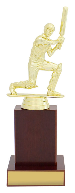 Cricket Timber Column