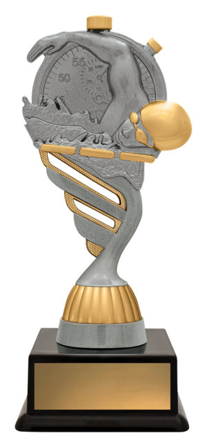 Swim Budget Silver