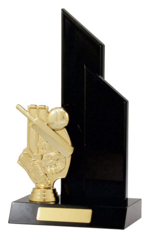 Cricket Black Double Wing