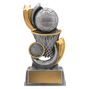Netball Firebird