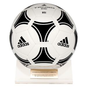 Acrylic Ball Holder
