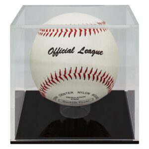 Baseball Ball Case