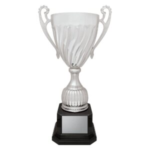 Cruiser Cup - Silver