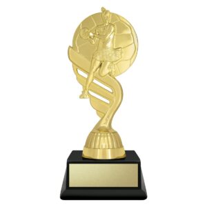 Budget Gold - Netball