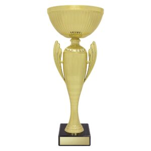 Guardian Cup