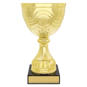 Community Cup