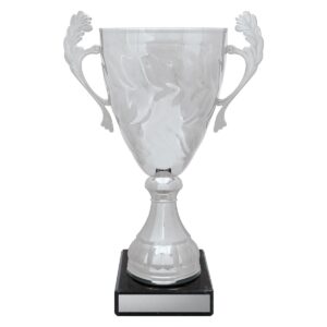 Silver Eternal Cups