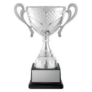 Welcome Cup - Silver
