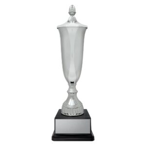Arsenal Cup