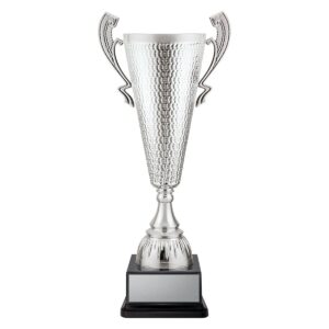 Sentinel Cup