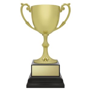 Ace Recognition Gold